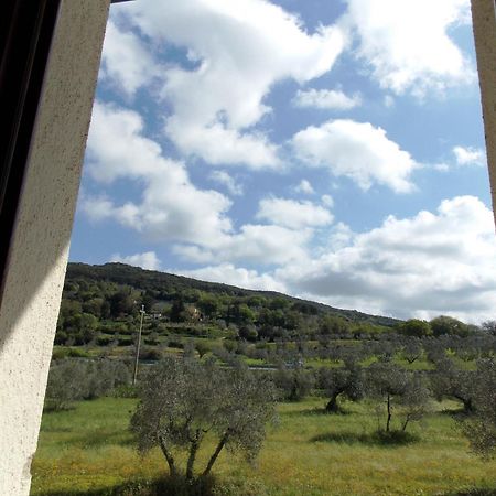 Agriturismo Il Vecchio Imposto Villa มัสซามาริตติมา ภายนอก รูปภาพ