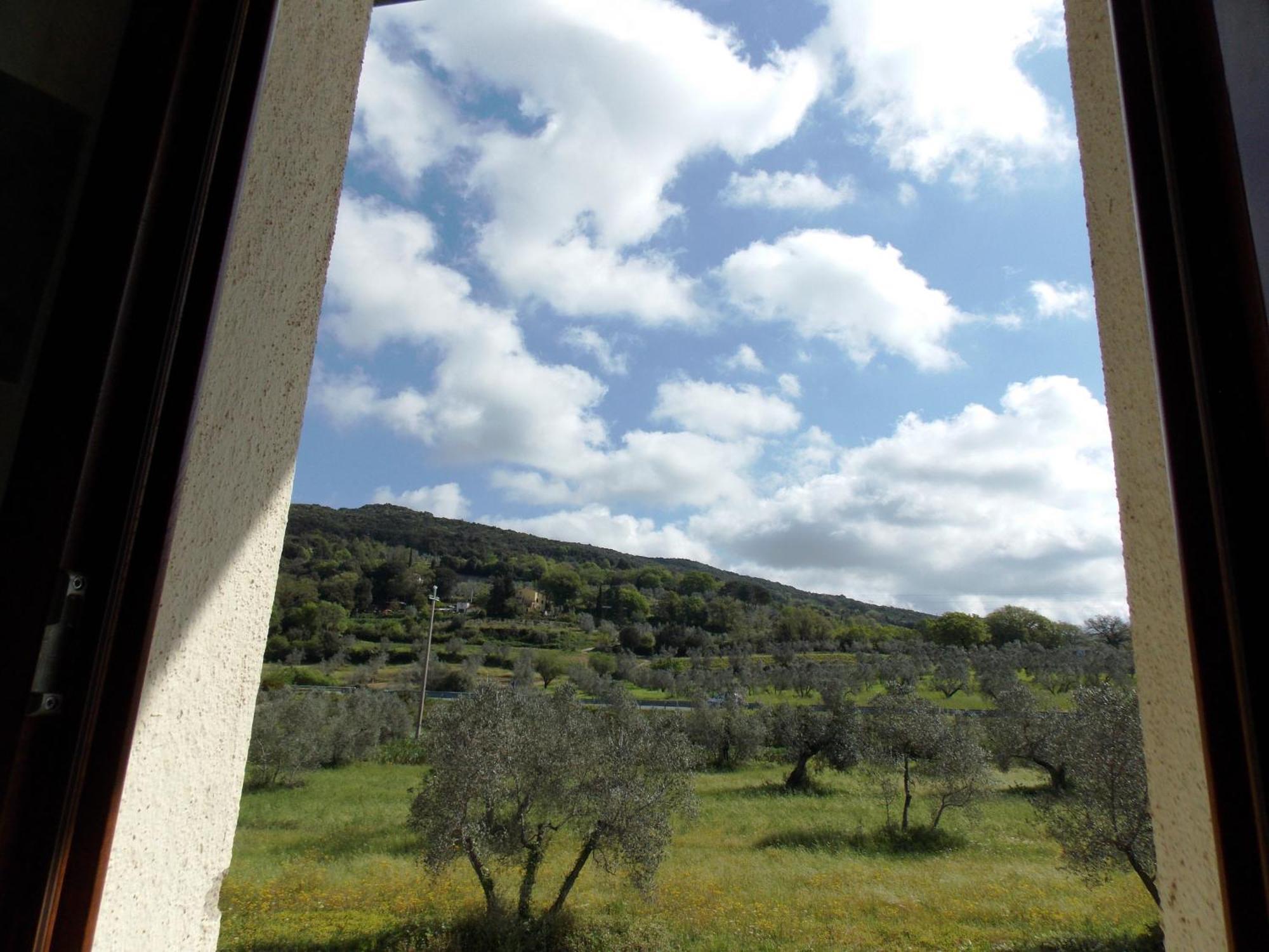 Agriturismo Il Vecchio Imposto Villa มัสซามาริตติมา ภายนอก รูปภาพ