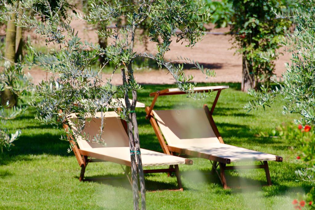 Agriturismo Il Vecchio Imposto Villa มัสซามาริตติมา ภายนอก รูปภาพ