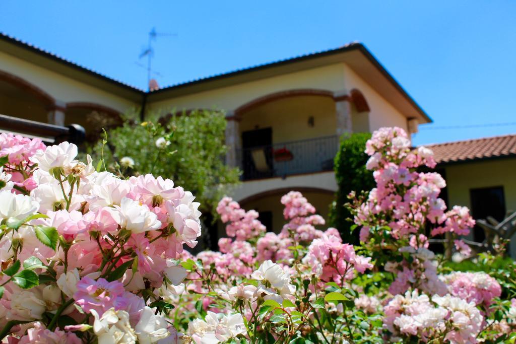 Agriturismo Il Vecchio Imposto Villa มัสซามาริตติมา ภายนอก รูปภาพ