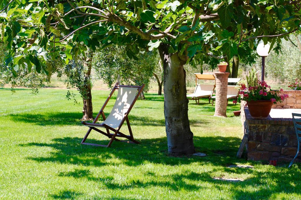 Agriturismo Il Vecchio Imposto Villa มัสซามาริตติมา ภายนอก รูปภาพ