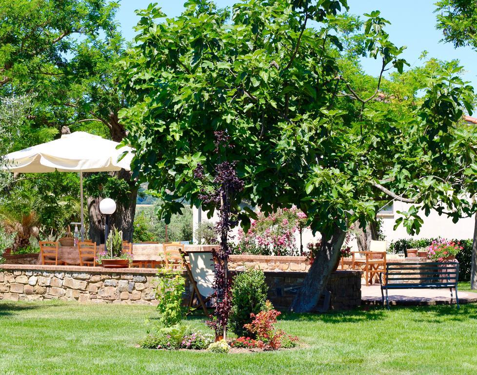 Agriturismo Il Vecchio Imposto Villa มัสซามาริตติมา ภายนอก รูปภาพ